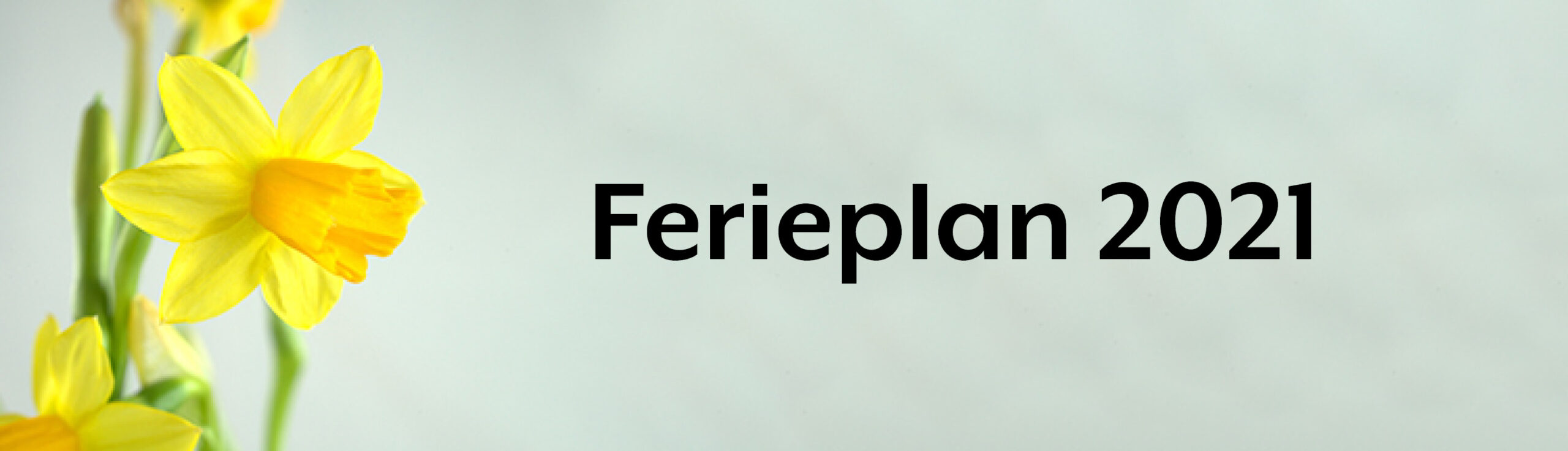 Ferieplan-billede-foraar-2021-scaled